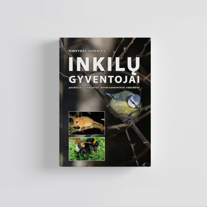 Knyga Rimvydas Juškaitis: INKILŲ GYVENTOJAI