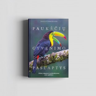 Knyga David Attenborough: PAUKŠČIŲ GYVENIMO PASLAPTYS