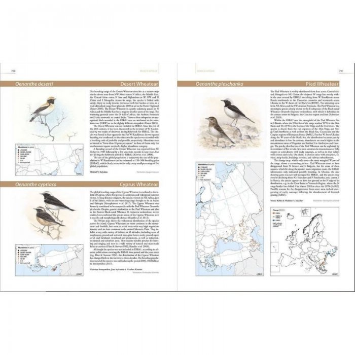 Knyga  "European Breeding Bird Atlas 2"