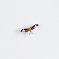 Ženkliukas RED KITE / Rudasis peslys