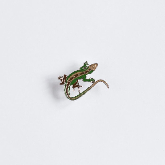 Ženkliukas SAND LIZARD / Vikrusis driežas