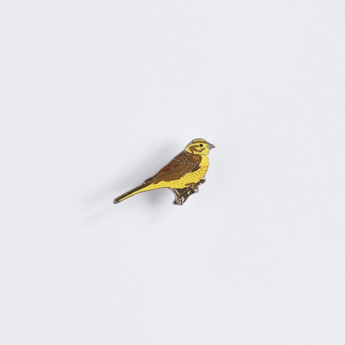 Ženkliukas Yellowhammer /Geltonoji starta