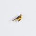 Ženkliukas Yellowhammer /Geltonoji starta