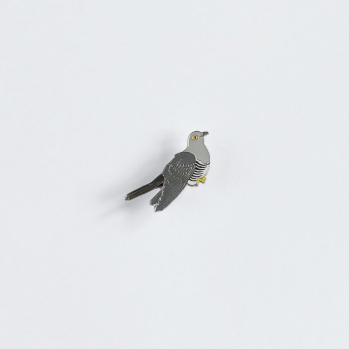Ženkliukas COMMON CUCKOO/ Gegutė
