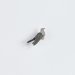 Ženkliukas COMMON CUCKOO/ Gegutė