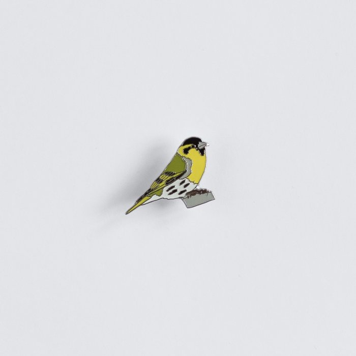 Ženkliukas SISKIN / Alksninukas