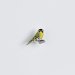 Ženkliukas SISKIN / Alksninukas