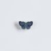 Ženkliukas HOLLY BLUE BUTTERFLY / Žydrasis melsvys