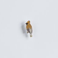 Ženkliukas WAXWING / Svirbelis