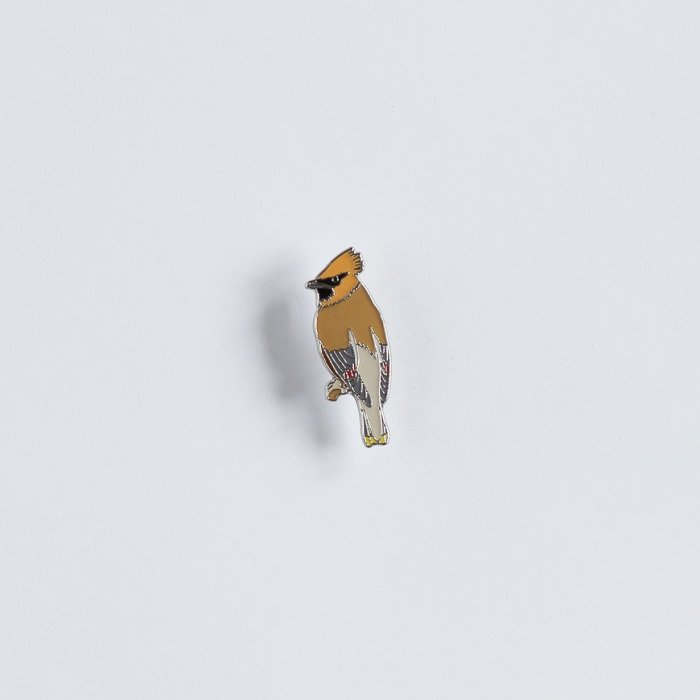 Ženkliukas WAXWING / Svirbelis