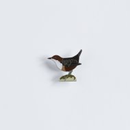 Ženkliukas WHITE-THROATED DIPPER / Vandeninis strazdas