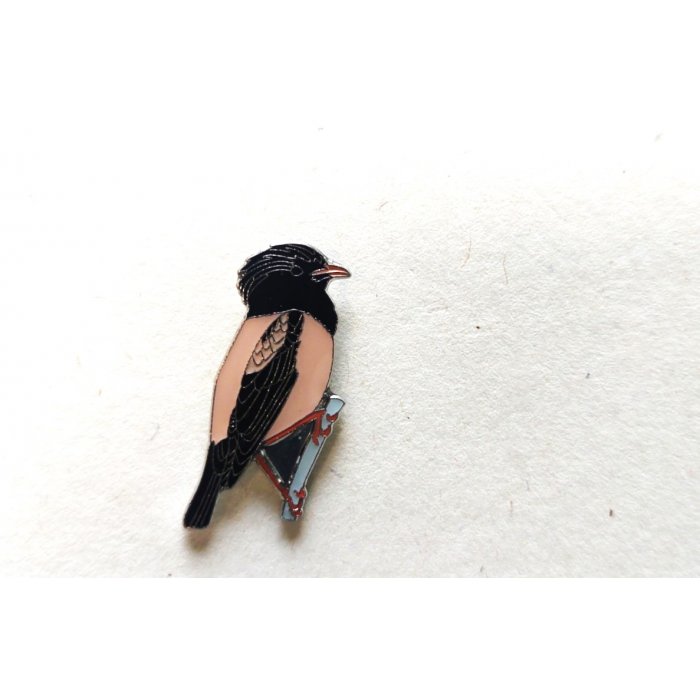 Ženkliukas ROSY STARLING / Rožinis varnėnas