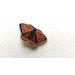 Ženkliukas LARGE COPPER BUTTERFLY / Didysis auksinukas