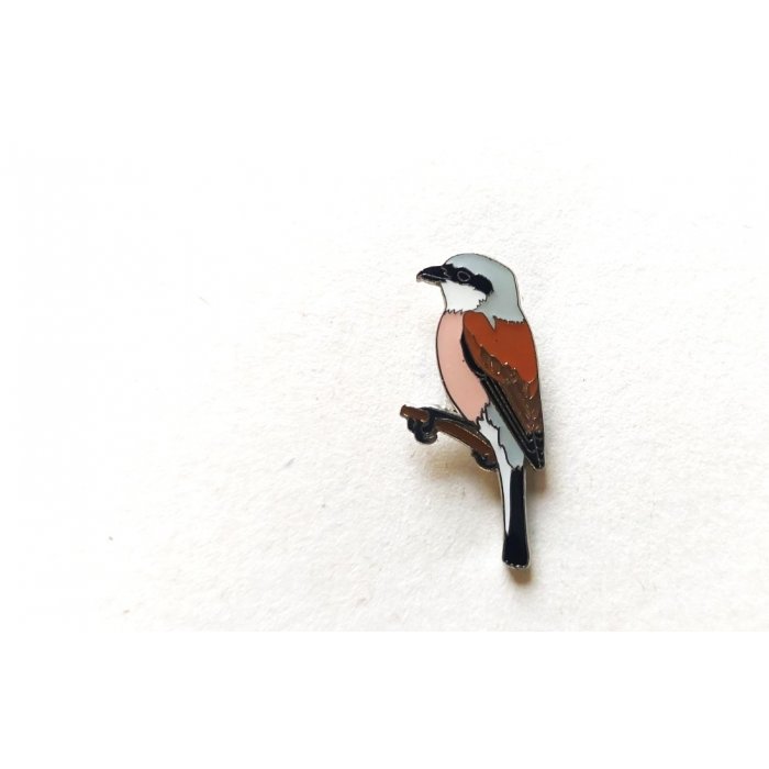 Ženkliukas RED BACKED SHRIKE / Paprastoji medšarkė