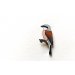 Ženkliukas RED BACKED SHRIKE / Paprastoji medšarkė