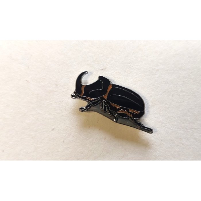 Ženkliukas EUROPEAN RHINOCEROS BEETLE / Vabalas raganosis