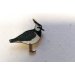 Ženkliukas LAPWING / Paprastoji pempė