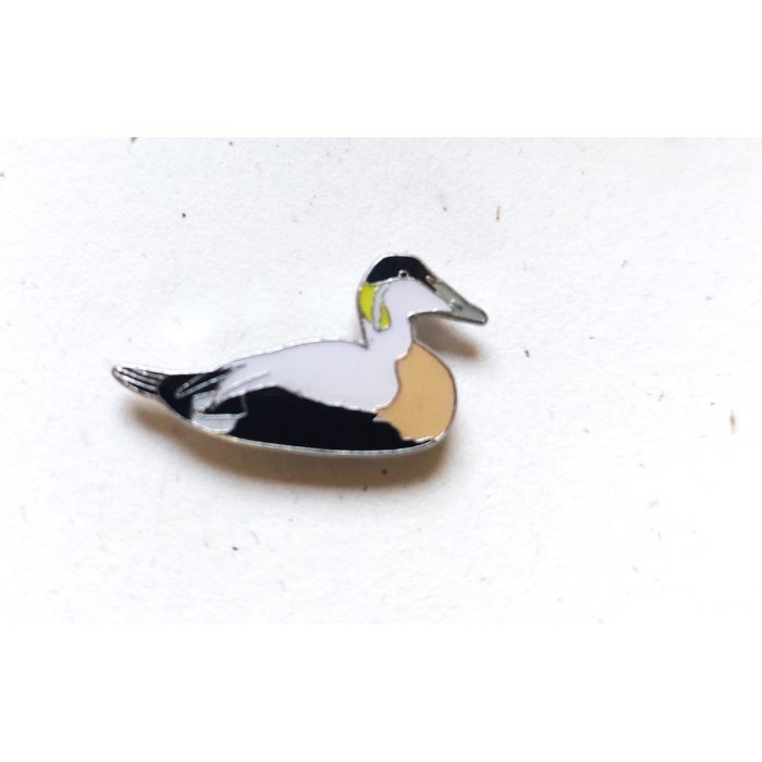 Ženkliukas COMMON EIDER / Paprastoji gaga