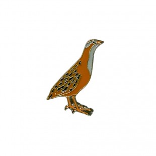 Ženkliukas Griežlė / CORNCRAKE