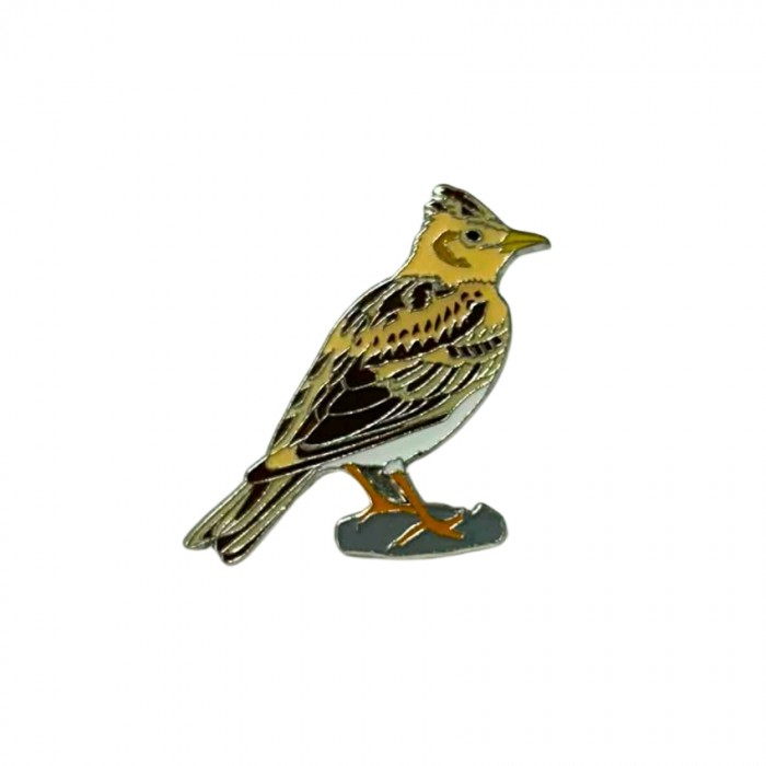 Ženkliukas Dirvinis vieversys / SKYLARK 