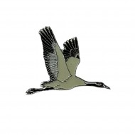 Ženkliukas COMMON CRANE / Pilkoji gervė (skrendanti)