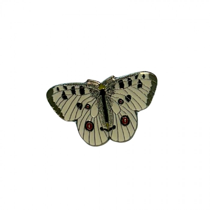 Ženkliukas Apolonas / APOLLO BUTERFLY 