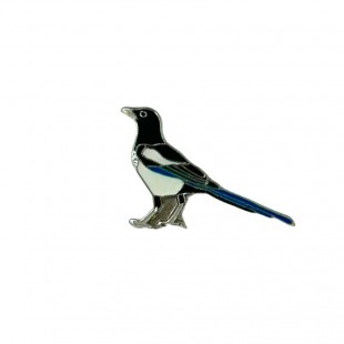 Ženkliukas Šarka / EURASIAN MAGPIE
