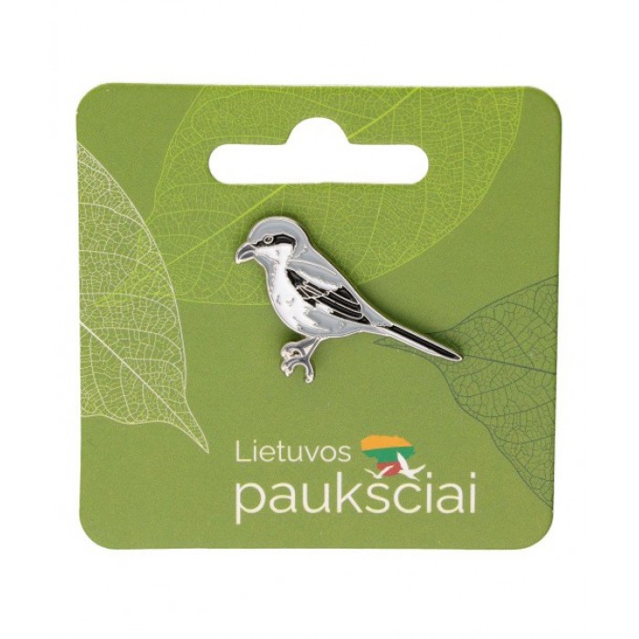 Ženkliukas Plėšrioji Medšarkė