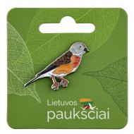 Ženkliukas Čivylis