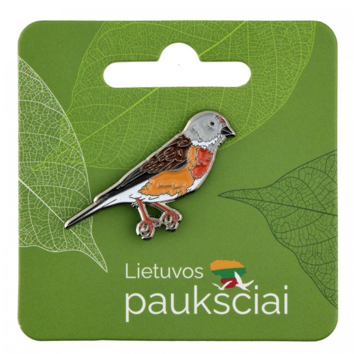 Ženkliukas Čivylis