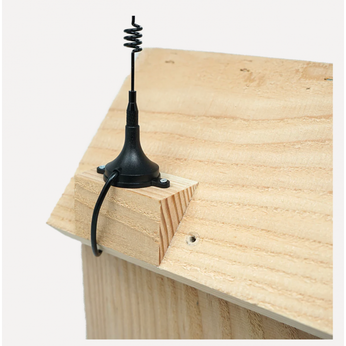 Gamtos kamera NatureSpy WiFi Solar Nestbox Cam
