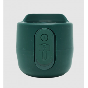 Gamtos kamera NatureSpy WiFi WildCam 2