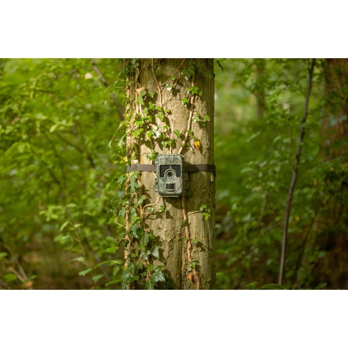 Gamtos kamera SM4 Pro Wildcamera