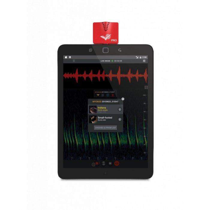 Šikšnosparnių detektorius Echo Meter Touch 2 Pro - Android