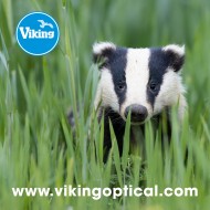 Optikos valymo šluostė Viking - Barsukas