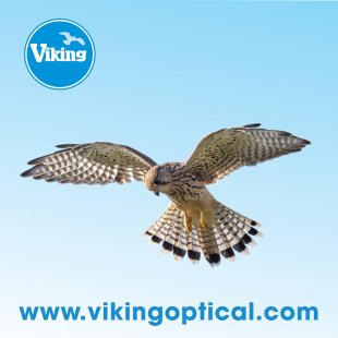 Optikos valymo šluostė Viking - Pelėsakalis