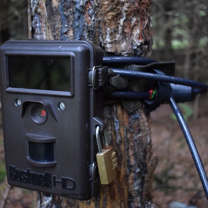 Gamtos kameros Browning spyna Masterlock 8mm Python