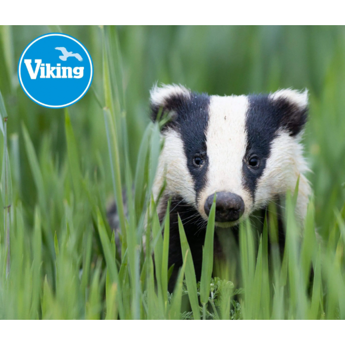 VIKING BADGER 10x50