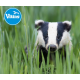 VIKING BADGER 10x50