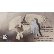 Ženkliukas SNOWY OWL / Baltoji pelėda
