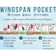 Žaidimas: Wingspan Pocket (EN)