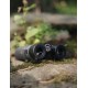 Žiūronai FOCUS Observer 8x42 ED