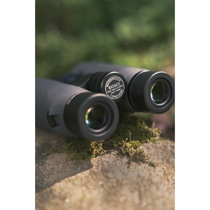 Žiūronai FOCUS Observer 8x56 ED